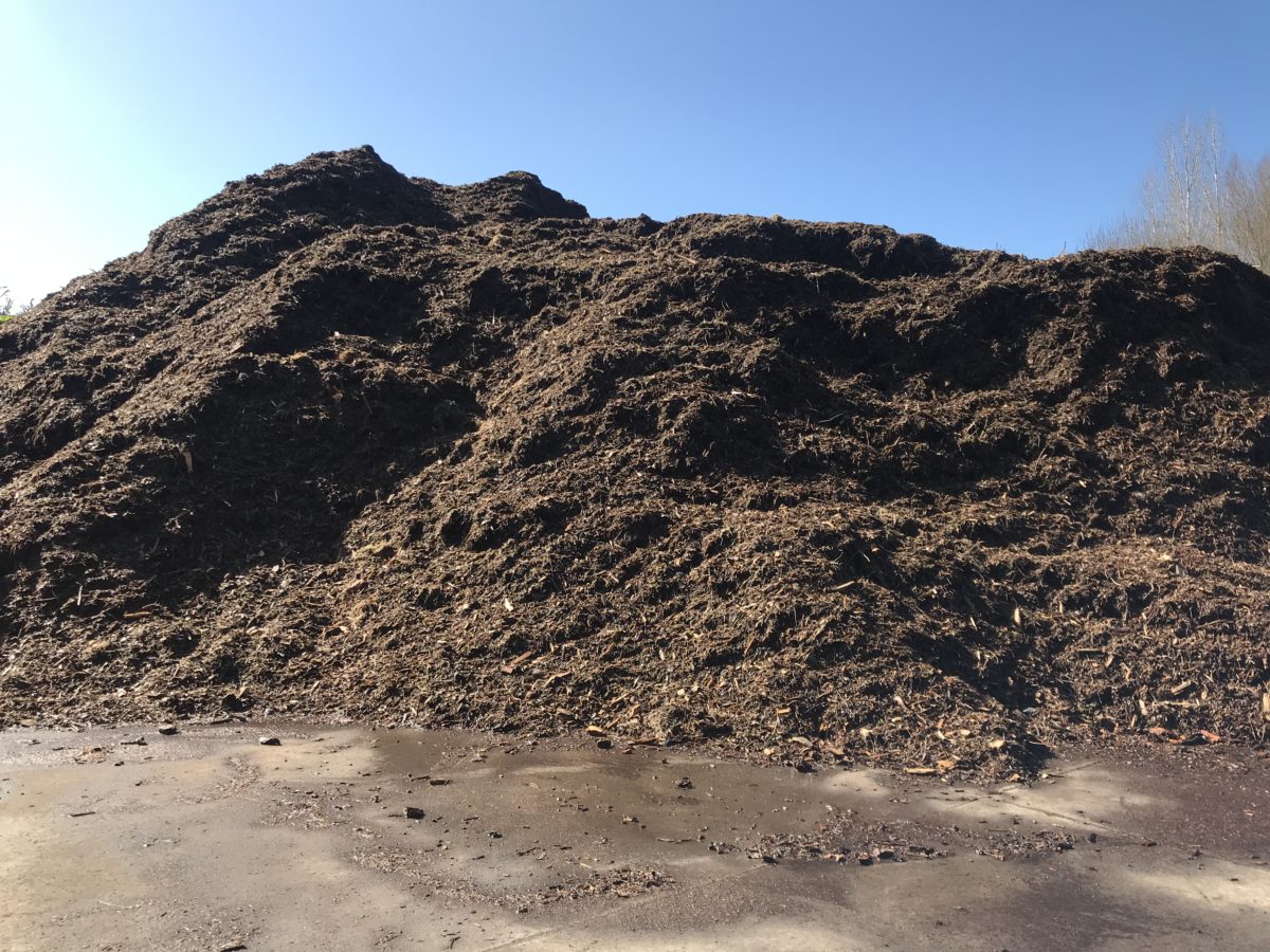 Cheap Green Waste Disposal Auckland at Christine Wilkins blog