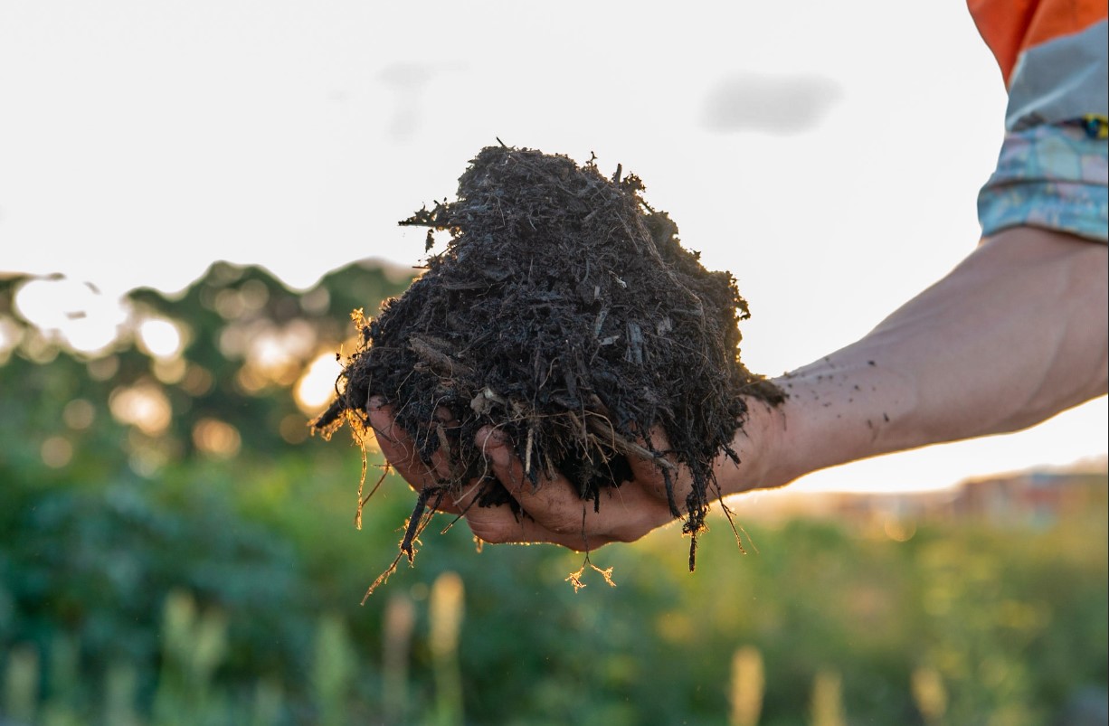 Mulch Auckland, Garden Mulch Auckland, MulchMax®