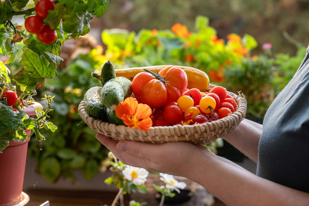 Garden harvest with bowl full of vegetables
